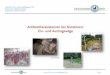 Antibiotikaresistenzen bei Nutztieren: Ein- und Austragswege · Institut für Tier- und Umwelthygiene (ITU) Seite 1 Antibiotikaresistenzen bei Nutztieren: Ein- und Austragswege Uwe