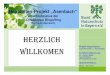 Projektstatus 2012 HerzlicH · 2007 2012 Flächiger Bestand 5 Anzahl Pflanzen Doku-Grenze 150 0 Teil „E + G“ Projekt „Asenbach“ der BN-Ortsgruppe Dingolfing Gegenüberstellung
