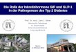 Die Rolle der Inkretinhormone GIP und GLP-1 in der ... · Die Rolle der Inkretinhormone GIP und GLP-1 in der Pathogenese des Typ 2 Diabetes Mainz, 2. Februar 2013 Prof. Dr. med. Juris