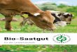 Bio-Saatgut - freudenberger.net · 2 Ökologische Landwirtschaft in der EU weiter auf dem Vormarsch Die ökologische Landwirtschaft ist seit über 20 Jahren eine Erfolgsge-schichte