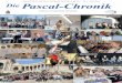 Die Pascal-Chronik - pascal-gym.de Chronik 9-4.pdf · Probleme, die sie innerhalb der eigenen Klassen-gemeinschaft sehen, ansprechen und nach Mög-lichkeit selbständig oder mit Unterstützung