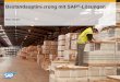 Bestandsoptimierung mit SAP -Lösungen · Just-in-time-Produktion (Leveling, Taktzeit, Kanban, Heijunka) • Erhöhte Transparenz in der Bestands - und Fehlersituation (IOC, ERM)