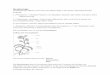 Morphologie - Blatt - Sch lerpta-paderborn.de/downloads/Botanik_UnterstufeTeil2_Vogler.pdf · Anatomie des Blattes bifazial Ober- und Unterseite sind verschieden (unteres Palisadenparenchym