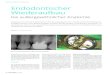 Rekonstruktion // Fallbericht Endodontischer Wiederaufbau · ten Prothese auf Zahn 26. Der Zahn war beim Kauen nicht symptomatisch und reagierte negativ auf den Perkussionstest. Auf