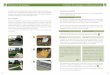 Richtlinien für die Verlegung Kunstrasen für Landscaping ... · Kunstrasen für Landscaping- und Heimanwendungen Vorbereitung des Untergrunds Entfernen Sie jeglichen Rasen, jegliche