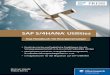 gedächtnis SAP S/4HANA - s3-eu-west-1.amazonaws.com · ßend geben wir Ihnen einen ersten Überblic k über SAP S/4HANA Utilities und stellen Ihnen die neue Public-Cloud-Lösung