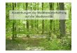 Auswirkungen der Waldbewirtschaftung auf die Biodiversität · Abteilung Waldbau und Waldökologie der gemäßigten Zonen • Schwerpunkt der Studien stammt aus dem Boreal (84 von
