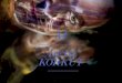 Titelbild: Marc Sinan, Komponist und Gitarrist · »Dede Korkut« wandelt sich so zur musikalischen Welterzählung, zur tontumultartigen Gegenwartsfolie. Am Ende wird kurz, aber deutlich