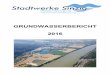 GRUNDWASSERBERICHT 2016 - stadtwerke-sinzig.de · Das Jahr 2016 war von Diskussionen über „Gülletransporte“ und die zeitweise erfor-derliche Vorsorgechlorung des Trinkwassers