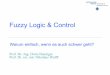 Fuzzy Logic & Control - Prof. Dr. D. Danziger und Prof. Dr. N. Wulff Fuzzy Logic & Control 13 Fuzzy