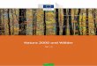 Natura 2000 und Wälder - ec.europa.eu€¦ · 2 Natura 2000 und der Wald vorliegende Dokument hoffentlich besser verständlich machen können, was Natura 2000 durch die Kooperation