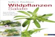 Wildpflanzen-Salate - media.at-verlag.chmedia.at-verlag.ch/Leseproben/Wildpflanzen-Salate_Look_inside_PDF.pdf · Wildpflanzen-Salate K P Mg Ca Fe Vogelmiere 680 54 39 80 8,4 Löwenzahn