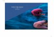 1.8 fileSeven Seas Mariner' auf eine beispiellose Seereise: Navigate the World 2020. Freuen Sie Sich auf 131 Ubernachtungen in vollkommenem Luxus sowie endlose Gelegenheiten, die Schönheit