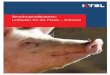Tierschutzindikatoren: Leitfaden für die Praxis – Schwein · PDF file35 Saugferkel Tierschutzindikatoren: Leitfaden für die Praxis – Schwein 3 .3 Kümmerer Wie? Beurteilung des