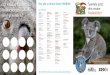12 Sticker sammeln, Hier gibt es deinen Kinder-PROBON ...üriunterland.ch/images/pdf/Sammelflyer_Koala_2018.pdf · und mit etwas Glück kannst du mit Lamas und Alpakas durch die Zürcher