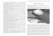 PERSONALIA - zobodat.at · Entomologische Nachrichten und Berichte, 42,1998/4 249 K leinsteuber, E. (1980): Wissenswertes aus dem Insektarium (2). Die Südliche Feldgrille