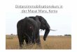 Distanzimmobilisationskurs in der Masai Mara, · Details kurz zusammengefasst • Organisiert durch Dr. Tanner, LMU – m.tanner@lmu.de, 089 2180 5899 • Durchgeführt durch Kenya