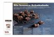 DiebessereSchokolade · PDF fileDieBrownie-Truffes mitBaumnüssen sindeineSündewert. FreyNoirSpecial72%, UTZCertified, 100gFr.2.10 Patissier Kuchenglasurdunkel, UTZCertified, 125gFr.1.70