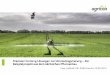 Motivation - landwirtschaft.sachsen.de · Peer Leithold | Precision Farming Lösungen zur Unkrautregulierung | EIP-AGRI Arbeitspaket Personal Mannmonate im Projektzeitraum Arbeitsaufwand