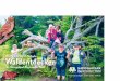  · Wir von der DON BOSCO-Schule in Grafenau sind seit November 2014 Nationalpark-Partner-Schule. Wir lieben unsere Waldheimat und möchten die Natur schützen