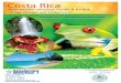 Kase Reise Service Costa Rica 2018 Internetversion rica.pdf · ne Stadt La Fortuna am Fuß des Arenal-Vulkans ist DAS Reiseziel für alle, die ihren Urlaub aktiv gestalten möchten