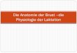 Aufbau und Steuerung der Laktation - stgag.ch · Prävalenz in der Schweiz* Übergewicht 29.4% Adipositas 8.2% (USA 37%!) Adipöse Frauen stillen weniger häufig und weniger lange