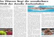 Im Wasser liegt die wunderbare Welt der Amelie Zachenhuber Artikel... · Reisen. Für Amelie Zachenhu-ber ist eine fantastische Saison geschafft. Fünf Titel „Deutsche Jahrgangsmeisterin“,