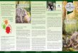 natürliche Vielfalt Welche Vorteile hat LandFleisch WOLF?landfleisch.com/uploads/media/LF_Wolf_Flyer.pdf · Eine Paten-/Partnerschaft mit Zukunft Die Produktphilosophie von LandFleisch