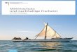 Meeresschutz und nachhaltige Fischerei · 10-Punkte-Aktionsplan Meeresschutz und nachhaltige Fischerei 5. DEUTSCHES ENGAGEMENT ZUM SCHUTZ UND ZUR N ACHHALTIGEN NUTZUNG DER MEERE
