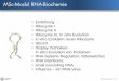 MSc-Modul RNA-Biochemie · PDF file• Influenza –ein RNA-Virus RNA Biochemie 11/1 MSc-Modul RNA-Biochemie. RNA Biochemie 11/2 Influenza. RNA Biochemie 11/3 Influenza „I had a