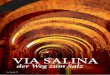 VIA SALINA - alpevents.ch · VIA SALINA der Weg zum Salz La Tavola 72. KULTUR-WANDERREISE FOTOGRAFIE: PETER SALZMANN, NEUCHATEL TOURISME TEXT: PETER SALZMANN 73. Xxx Xxx Alles Salz