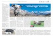 Journal - yaks.ch · HUND, KATZ & CO Journal J 3 >> Yaks sind kälteunemp-findlich – im tibetischen Hochland gehen die Werte bis auf minus 45 Grad. Sie sind krankheitsresistent
