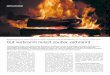 Flammen in einem Holzofen. (Foto: Thomas Nussbaumer) Gebaeudetechnik.pdf · beim Referat von Hans Hartmann vom TFZ-Kompetenzzentrum für nachwach-sende Rohstoffe in Straubing bei