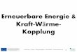 Einführung - Theorie - Übungsaufgaben - Geschäftsfall ... Energy and co... · • Rapsöl und Sonnenblumenöl (Biodiesel), • Zuckerrohr, Rüben, Mais (Bioethanol). Biopower: