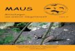 MAUS - naturkundemuseum-bw.de€¦ · Berichte und Aktivitäten MAUS 17, 9/2011 4 Resten von Braunbär, Wolf, Fuchs, Wildkatze, Rentier und Gämse auch 20 Dachse aller Al-tersstadien