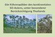 Die Föhrenwälder des kontinentalen SO-Asiens, unter ... · Inhalt • Pinus merkusii und Pinus kesiya - Allgemeine Informationen - Botanische Unterschiede - Geografische Verbreitung
