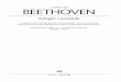 Ludwig van BEETHOVEN · Nevertheless, Beethoven’s oeuvre – especially the piano sonatas and chamber music – contains some movements that prove attractive for performance on