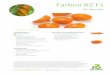 Farbini RZ F1 - rijkzwaan.de20RZ.pdf · Tomato - Mini Farbini RZ F1 (72-188) Product information ToMV:0-2/Fol:0/For Ma/Mi/Mj • mini tomato for loose picking • San Marzano type,