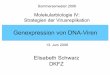 Molekularbiologie IV: Strategien der Virusreplikation ... Sp£¤te Genexpression-allgemeine Betrachtungen-¢â‚¬¢