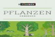 PFLANZEN - Tinybop, Inc.tinybop.com/assets/handbooks/plants/Tinybop-EL2-Plants...flanzen, wie Moose und Farne, und jene, bei denen die Reproduktion über Samen in Zapfen (wie einige