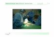 Melanomchirurgie: State-of-the art - Sentinel-Node · Melanomchirurgie: State-of-the art - Sentinel-Node Wong und Morton et al. (1991) • Modell für Lymphbahnmapping mit Nachweis