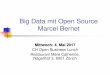 Big Data mit Open Source Marcel Bernet...Internet der Dinge –Aufbau 2 –Raspberry Pi und Co. als Server Big Data –Überblick Digitale Transformation Infrastructure as Code Docker