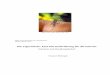 Die Tigermücke: Eine Herausforderung für die Schweiz2ea48e1b... · Abbildung 11 Mückenfalle (Ovitrap) Abbildung 12 Typischer Lebenszyklus einer Stechmücke (Anhang I) Abbildung