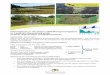 Informationen zu vier Natura 2000-Managementplänen im … · 2018-02-06 · Informationen zu vier Natura 2000-Managementplänen im Landkreis Ravensburg sowie im Kreis Sigmaringen