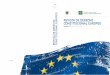 CONSTITUCIONAL EUROPEO - UGRredce/REDCE21pdf/ReDCE21.pdf · Con la publicación de su número 21, la Revista de Derecho Constitucional Europeo celebra su décimo aniversario. En el