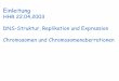 HHR 22.04.2003 DNS-Struktur, Replikation und Expression …kaktus42.spline.de/material/genetik/scr_genetik_ss03_vl... · 2011-01-07 · DNS-Struktur, Replikation und Expression Chromosomen