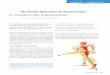 physiotur – Kombinationstherapiefranklin-methode.ch/wp-content/uploads/2012/11...gung, erlebter Anatomie und Berührung zusammen, ist sanft, kreativ-spielerisch und sportlich. Die