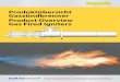 Produktübersicht Gaszündbrenner Product Overview Gas Fired ... · smart solutions for combustion and environment Produktübersicht Gaszündbrenner Product Overview Gas Fired Igniters