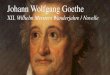 Wilhelm Meisters Wanderjahre Novelle Johann Wolfgang Goethe · 2017-07-01 · ein Handwerk zu beschränken, ist das Beste. Für den geringsten Kopf wird es immer ein Handwerk, für