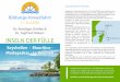 Kreuzfahrt Seychellen Madagaskar - Dr. Ruediger Dahlke 2019-02-04¢  Dr. Ruediger Dahlke & Dr. Ingfried